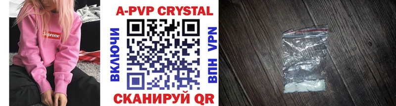 Alfa_PVP СК КРИС Терек