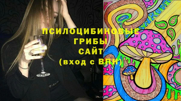 гашик Абинск
