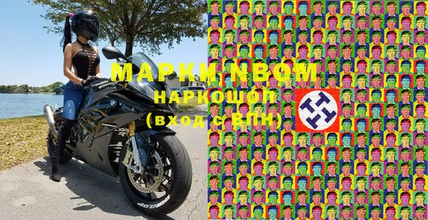 прущие грибы Наволоки