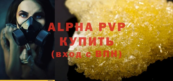 прущие грибы Наволоки