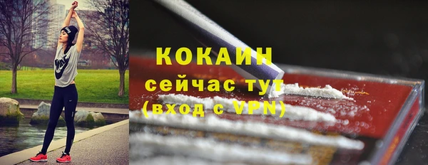 прущие грибы Наволоки