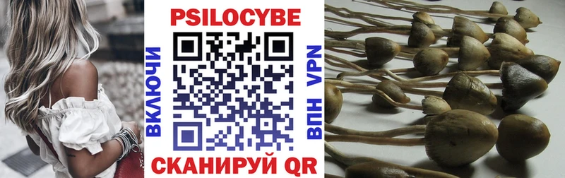 Галлюциногенные грибы Psilocybine cubensis  Терек 