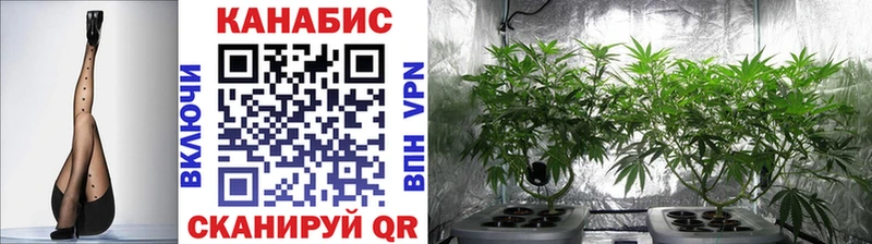 купить наркоту  Терек  гидра зеркало  Конопля семена 